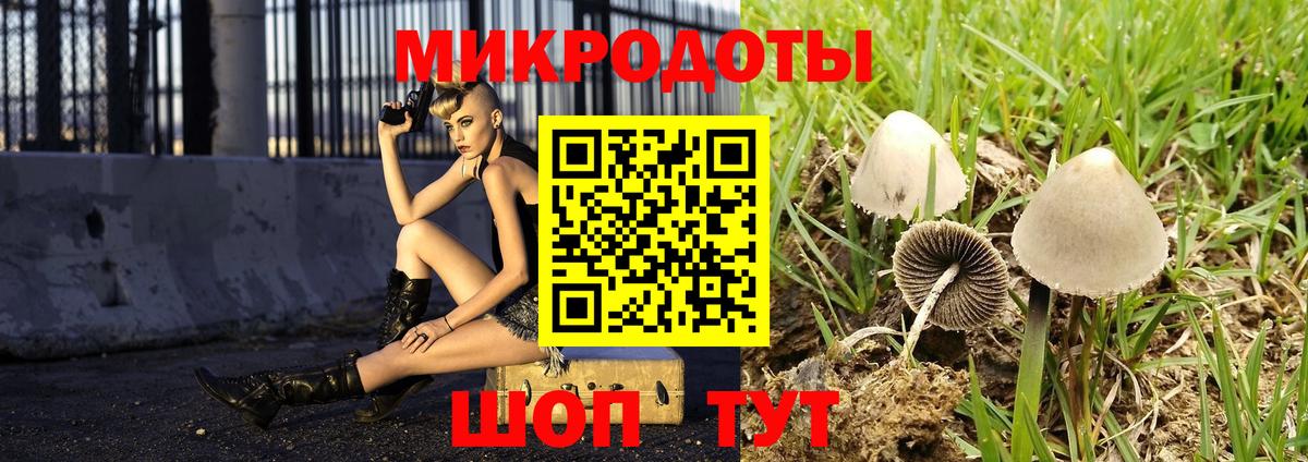 Псилоцибиновые грибы прущие грибы  Вход с VPN  Кизляр  Галлюциногенные грибы MAGIC MUSHROOMS 